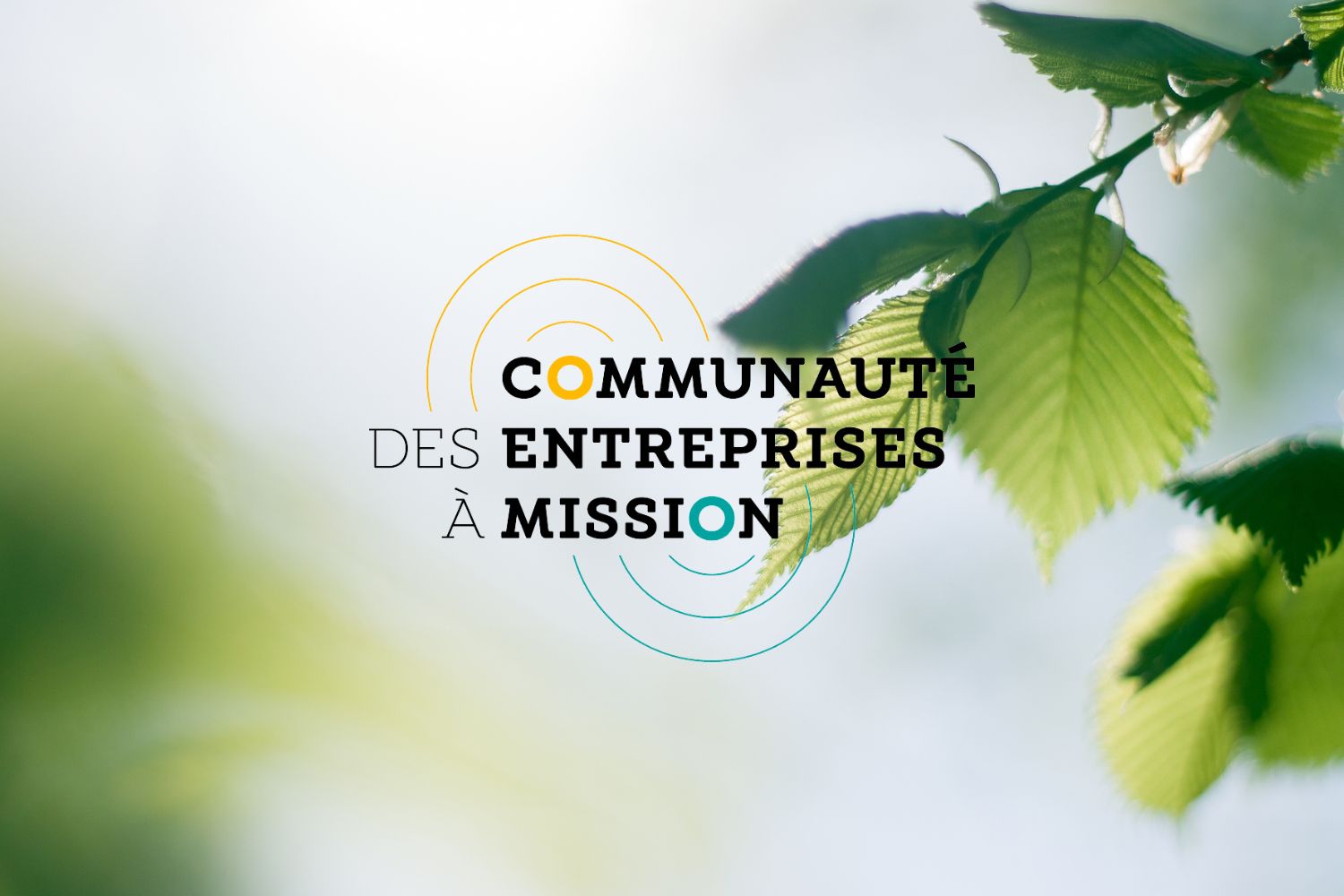 entreprise-a-mission