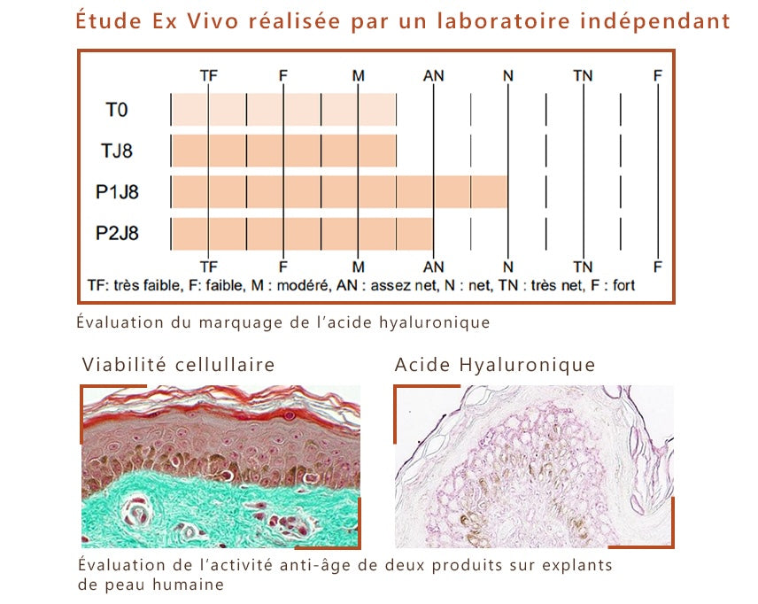 Etude clinique sur les performances produits